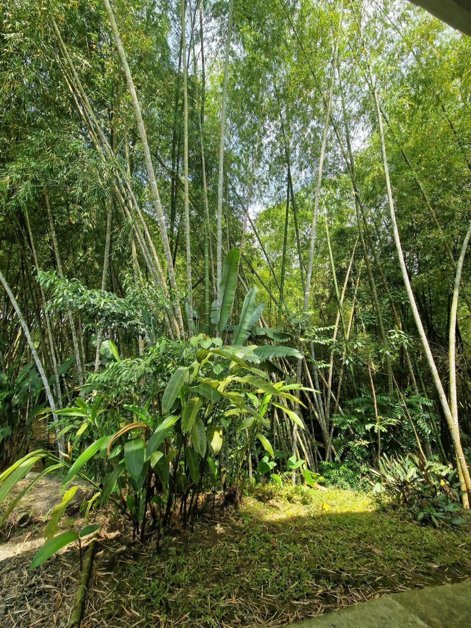 Bhutan Filandia Casa de hóspedes Exterior foto